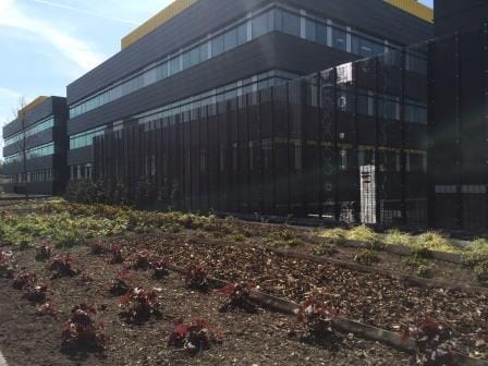 High security rigid mesh fencing around business